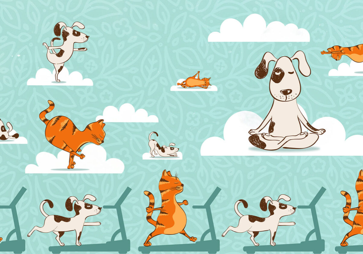 Pet-Tricks-Banner